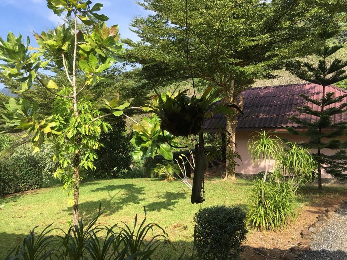 Khao Sok Hill Top Resort Khao Sok National Park Exterior photo